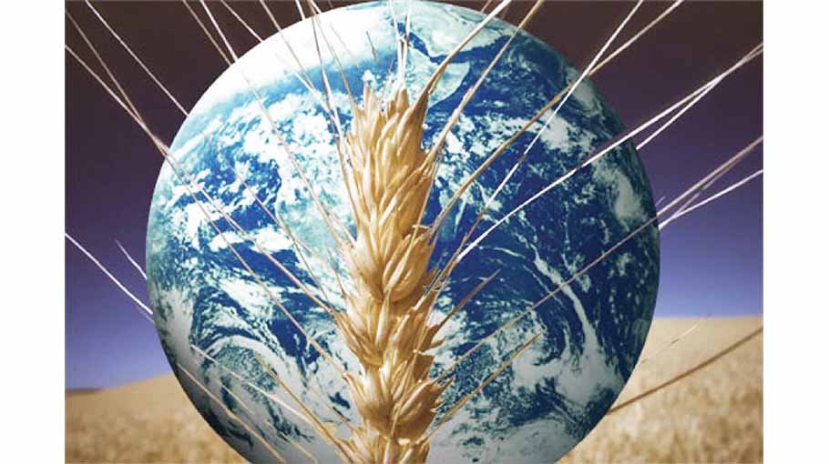 Food security remains a concern despite slight drop in prices: FAO