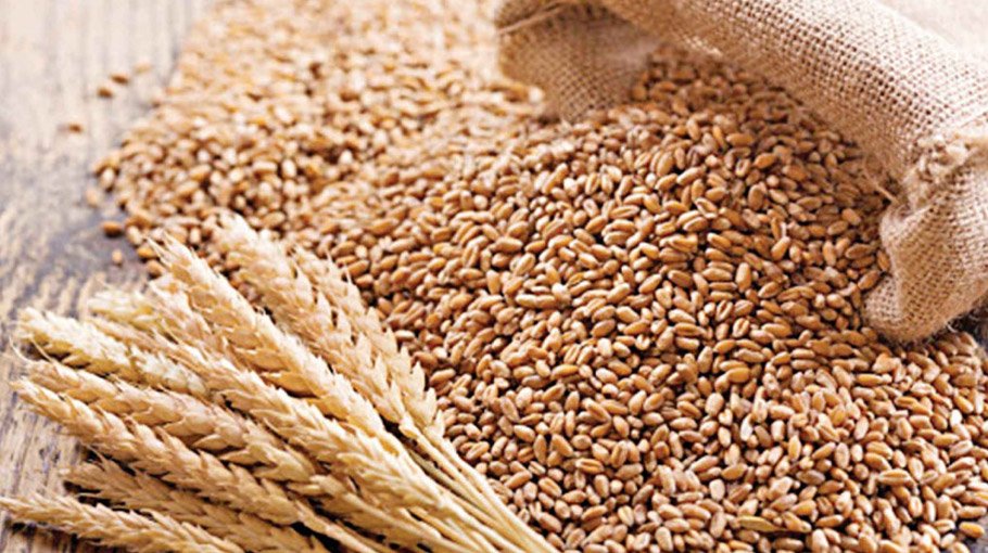 Govt hopeful of wheat import from India