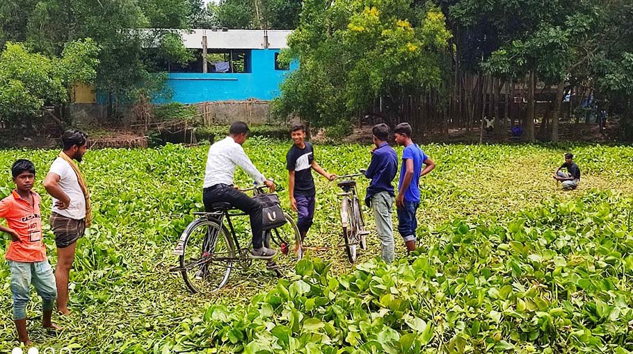 Jhinai river covered with water hyacinth 