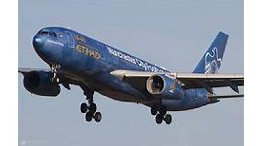 Net zero is ‘biggest challenge’ for aviation: Etihad CEO