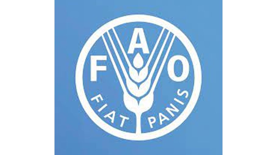 FAO prefers innovation, green growth to drive change in food, agri sectors