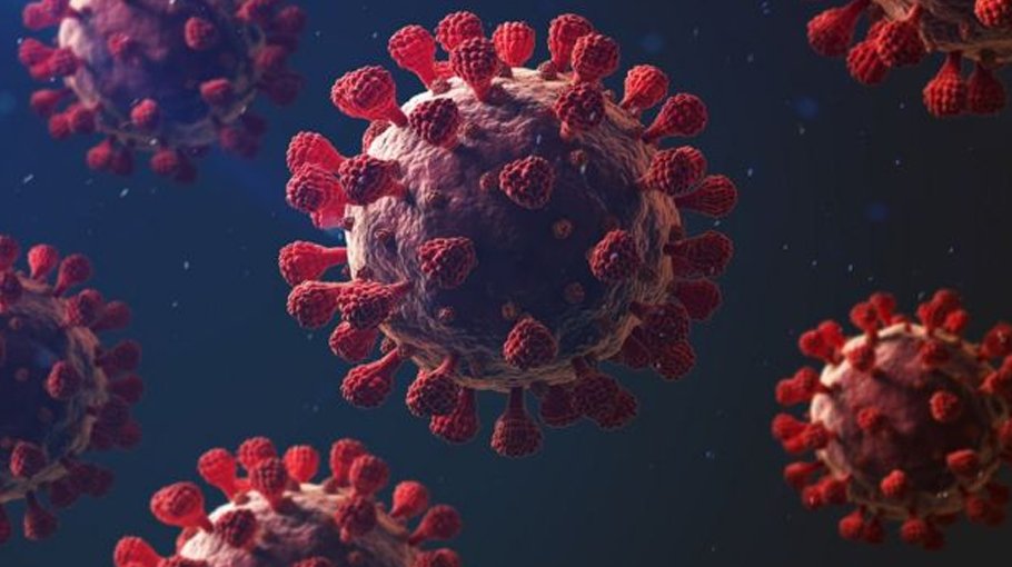 40 new Covid cases, zero death in 24 hours