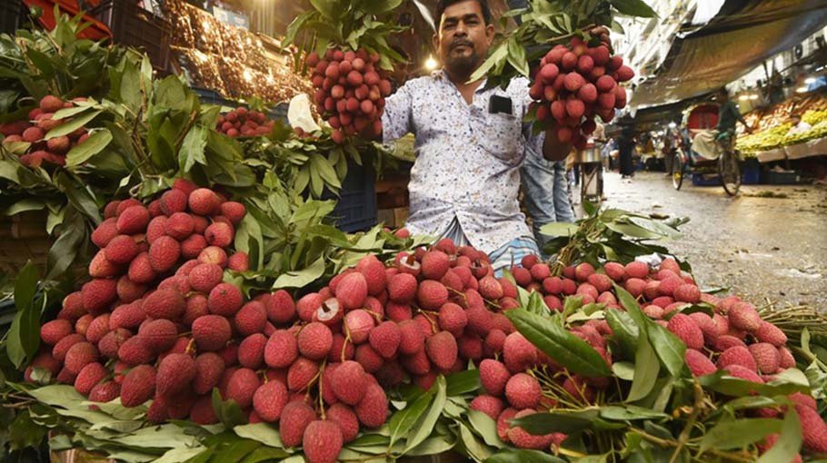 Bumper yield, fair price make Rangpur litchi farmers happy