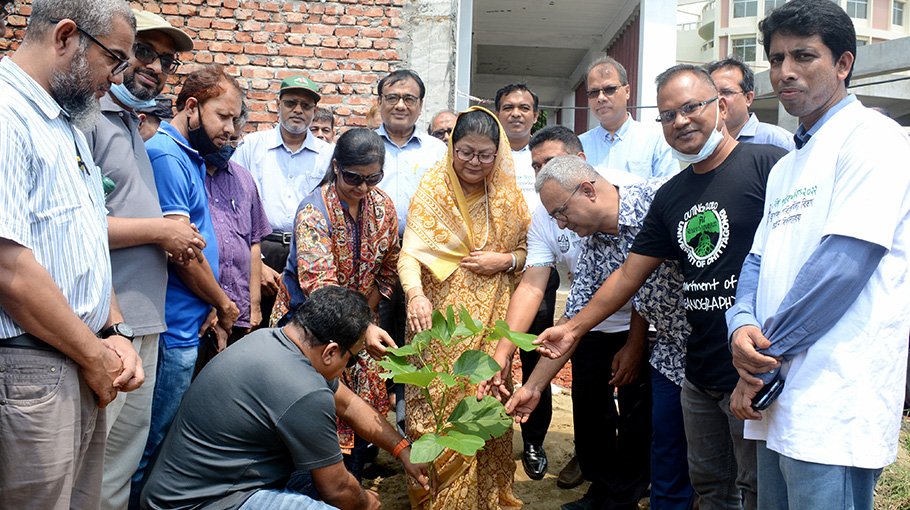 CU celebrates World Environment Day