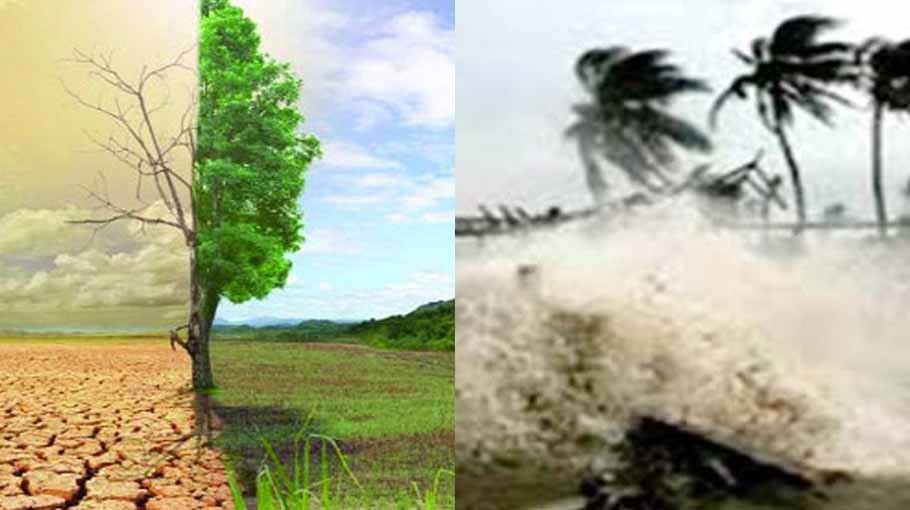 Move to implement ‘Mujib Climate Prosperity Plan’