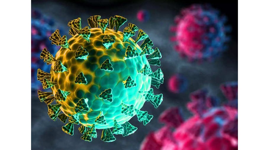 357 virus cases in 24 hrs, 14-week high 