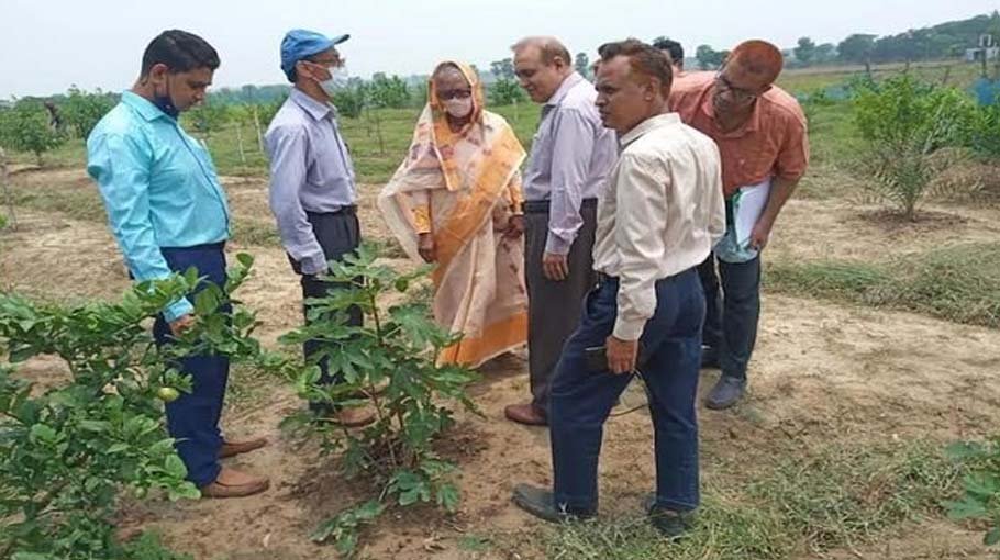 BMDA promotes nonconventional fruit production in Barind