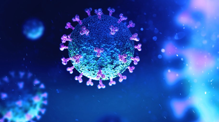 Global Covid cases top 558 million
