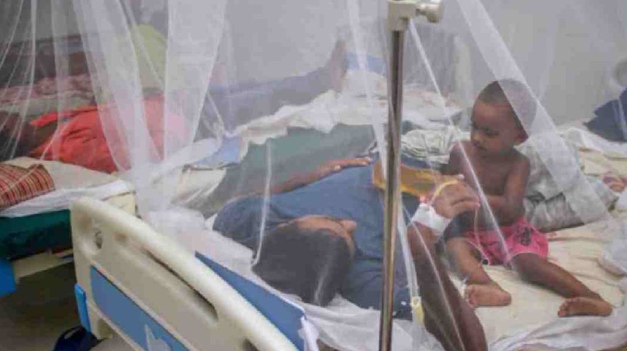 73 dengue patients hospitalised in  24 hrs
