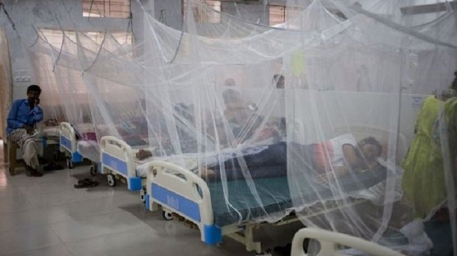 31 new dengue patients hospitalised in Dhaka in 24 hours  