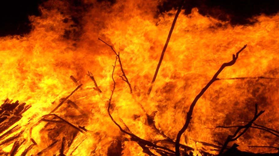 Fire guts chicken shed in Cox’s Bazar