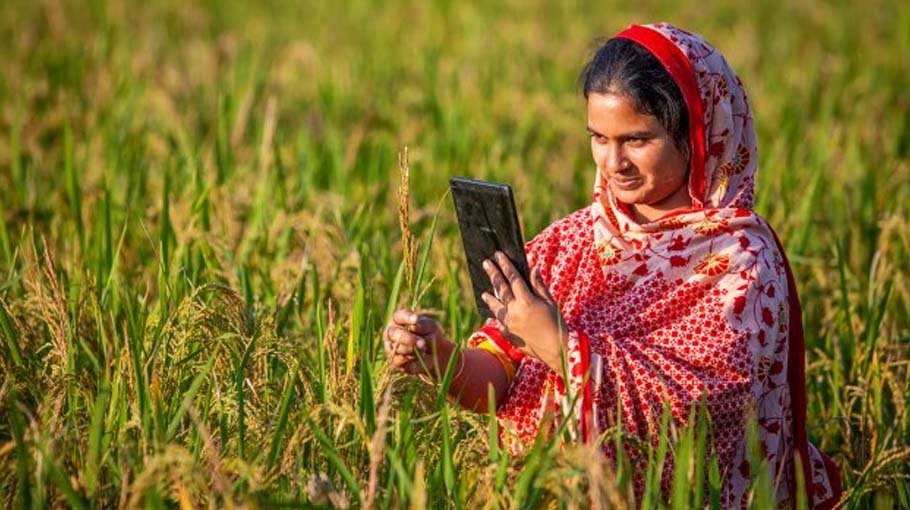 FAO working with govt to tap potential of digital agriculture