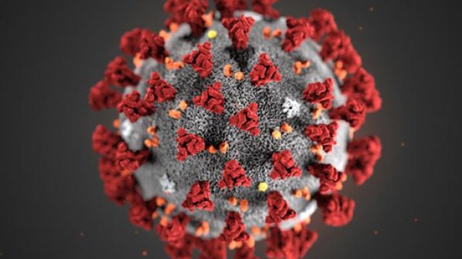 8 more Covid deaths, 879 new cases