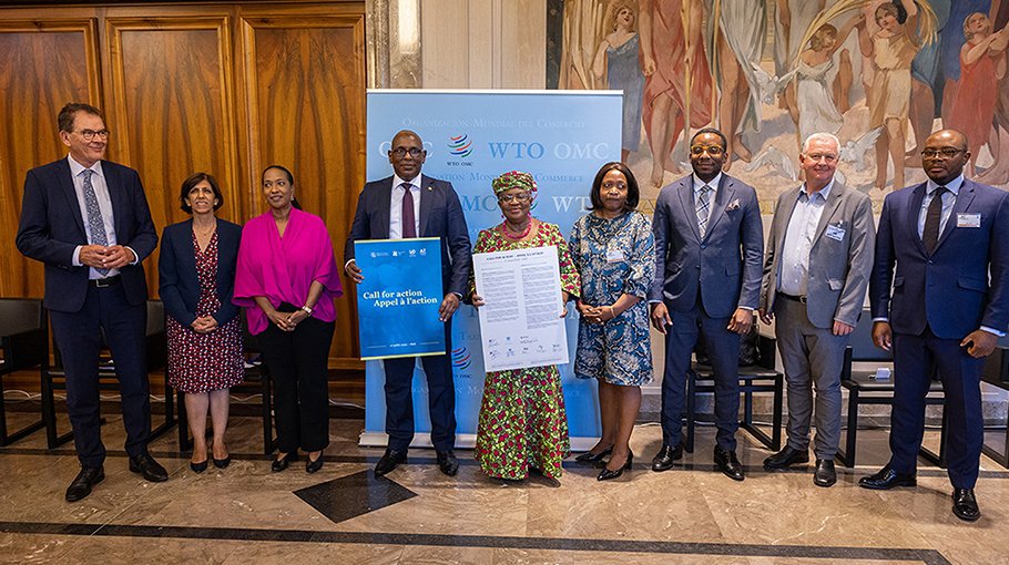 WTO calls for increased investment on cotton projects