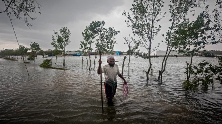 Govt distributes Tk 11 cr seeds, fertilisers among flood-hit farmers