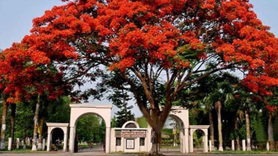IU BCL forms human chain demanding students’ security 