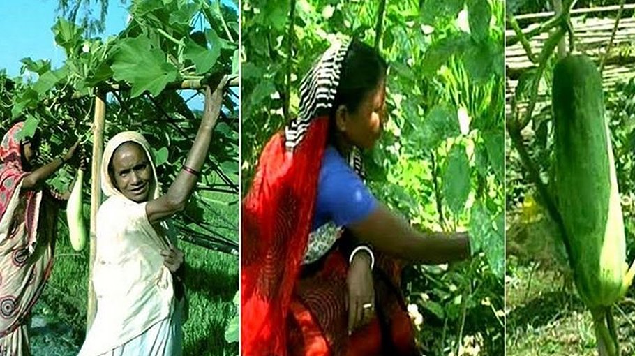 Experts for ensuring best use of land amid climate change