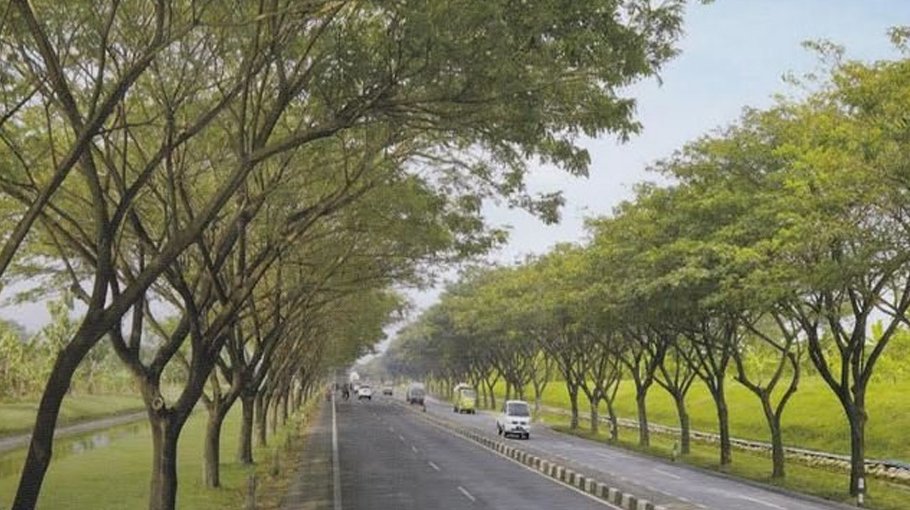 Weeklong tree fair begins today   in Pirojpur
