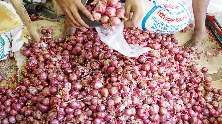 Prospect of summer onion  production bright in Rajshahi