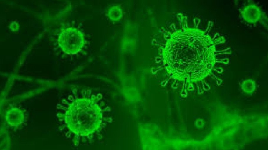 Zero Covid death, 141 positive cases in 24 hrs