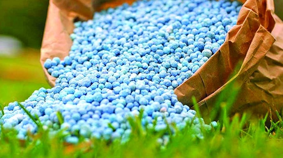 Govt To Procure 90 000 Tonnes Of Fertilisers Bangladesh Post