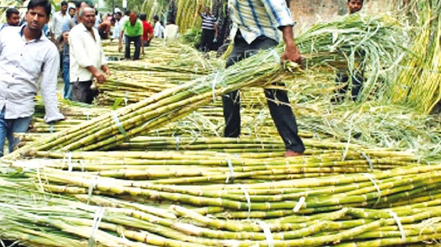 India now world’s largest sugar producer, consumer - Bangladesh Post