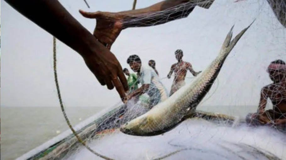 22-day ban on Hilsha fishing begins today