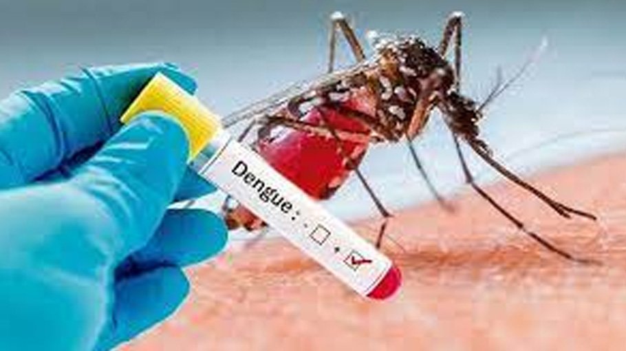 310 dengue patients hospitalised   in 24 hrs