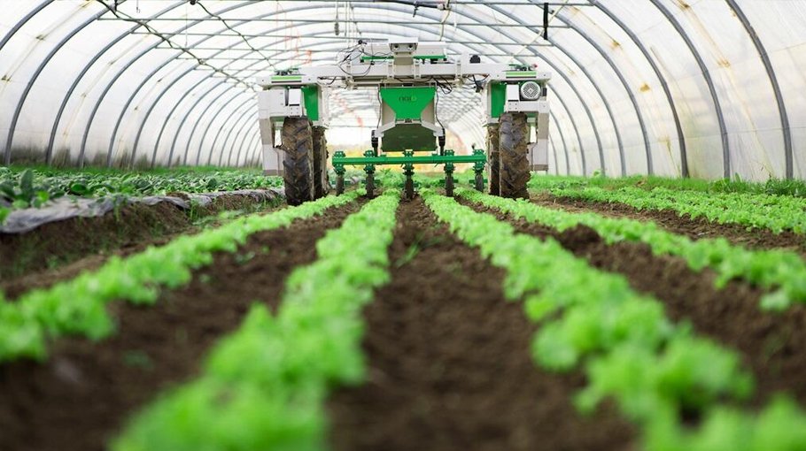 ‘Modernization of laboratories a must to speed up agro export’