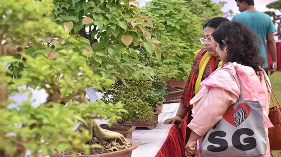 Four-day Bonsai exhibition begins in Rajshahi