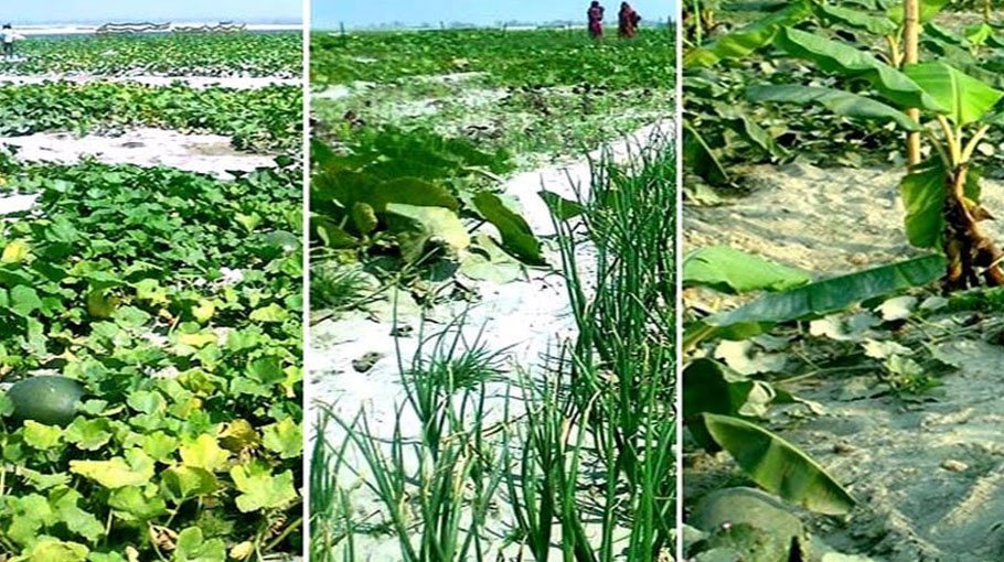 Farmers in Char areas expanding pumpkin cultivation
