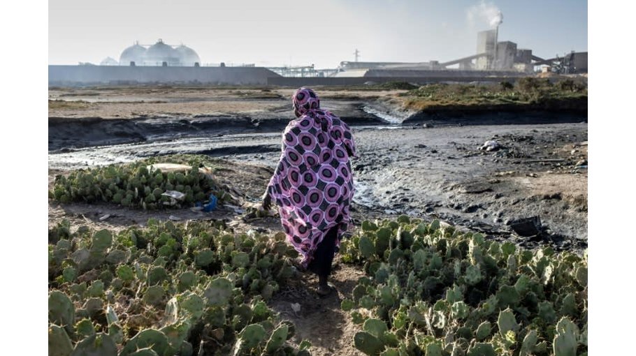 Force firms to reveal their impact on nature: Major businesses