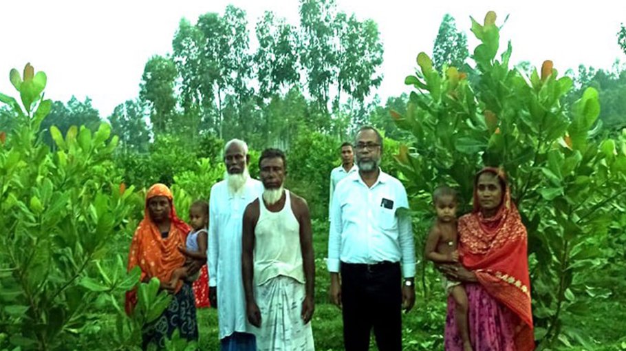 Asrayan project residents benefit from Cashew nut farming