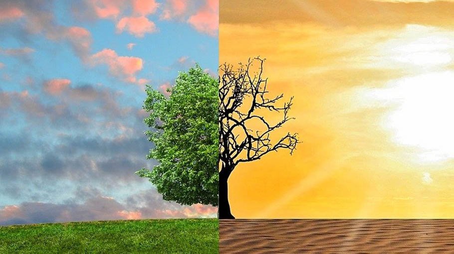 Bangladesh can raise up to $12.5b in addl financing for climate action: WB 