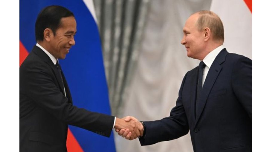 Putin undecided to attend G20 summit: Indonesia 