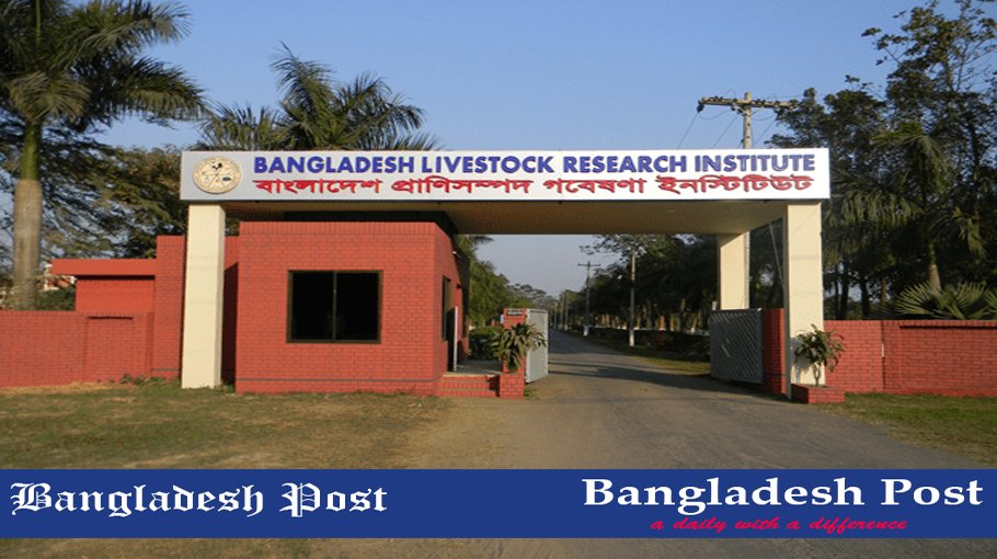 BLRI Job Circular 2022 – blri.teletalk.com.bd