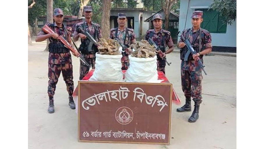 Tobacco, tortoise bones seized in C’nawabganj