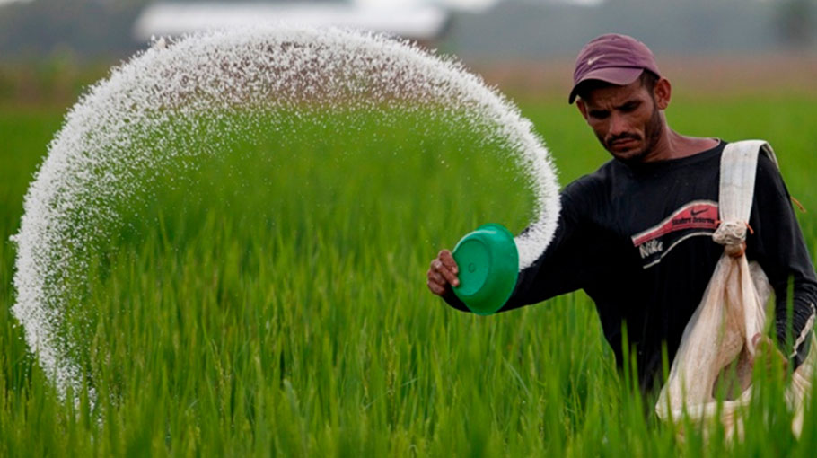 govt-to-import-1-8-lakh-tonnes-fertilizers-from-sa-uae-bangladesh-post