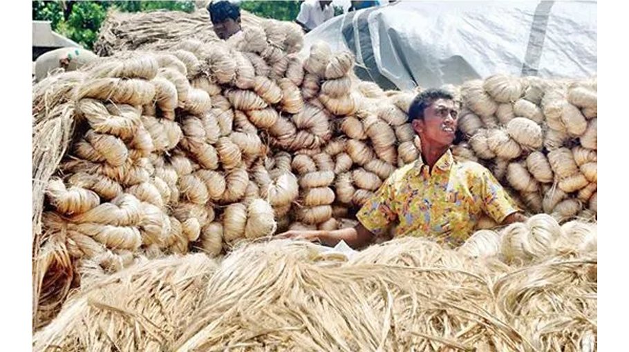 Govt plans  to revive lost shine of jute 