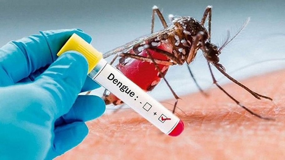 Dengue claims 3 more lives