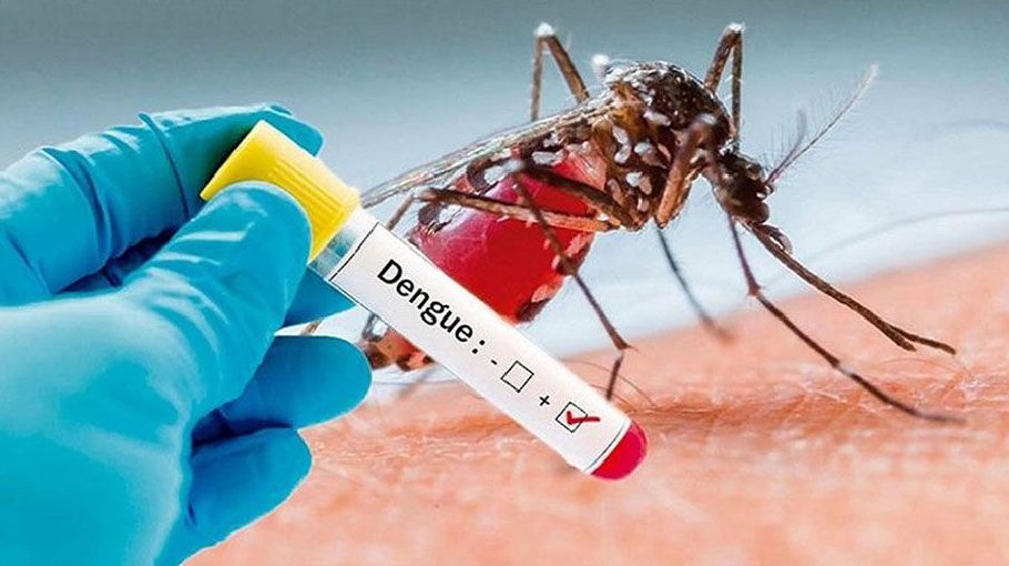 Dengue claims three lives, 265 hospitalised in 24 hours