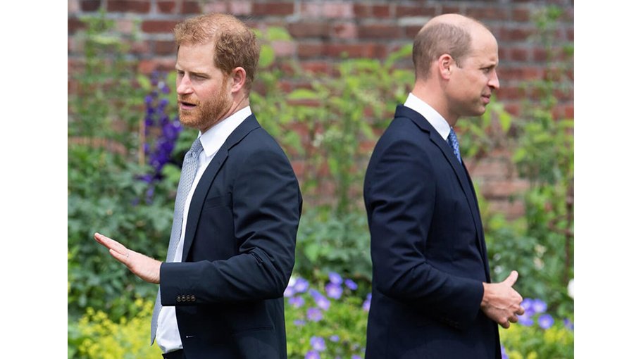 Harry accuses William of screaming at him