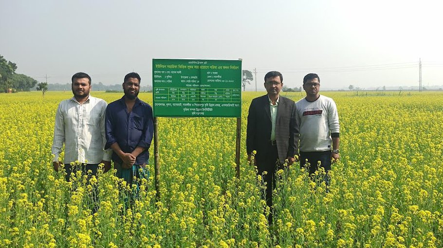 Mustard farming exceeds target in Khulna region