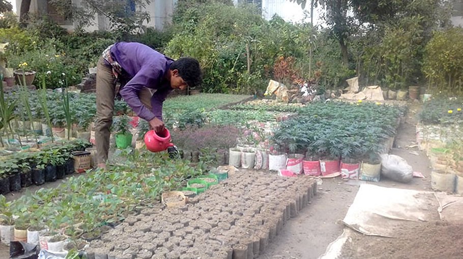 Nursery operation bring smile to owners’ face