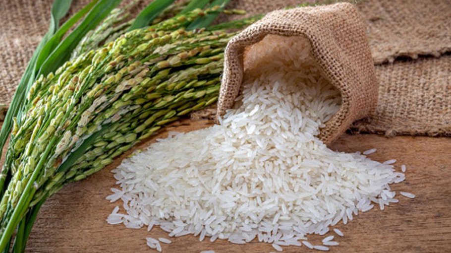 Govt to procure 1 lakh tonnes of non-Basmati rice