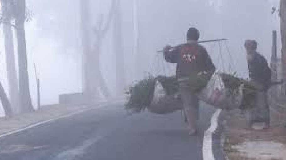 Tetulia records lowest temperature at 8.4°C