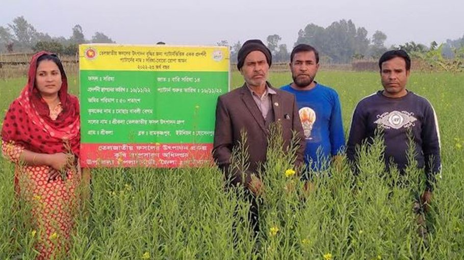 SCA takes initiative to produce quality mustard seed in Gaibandha