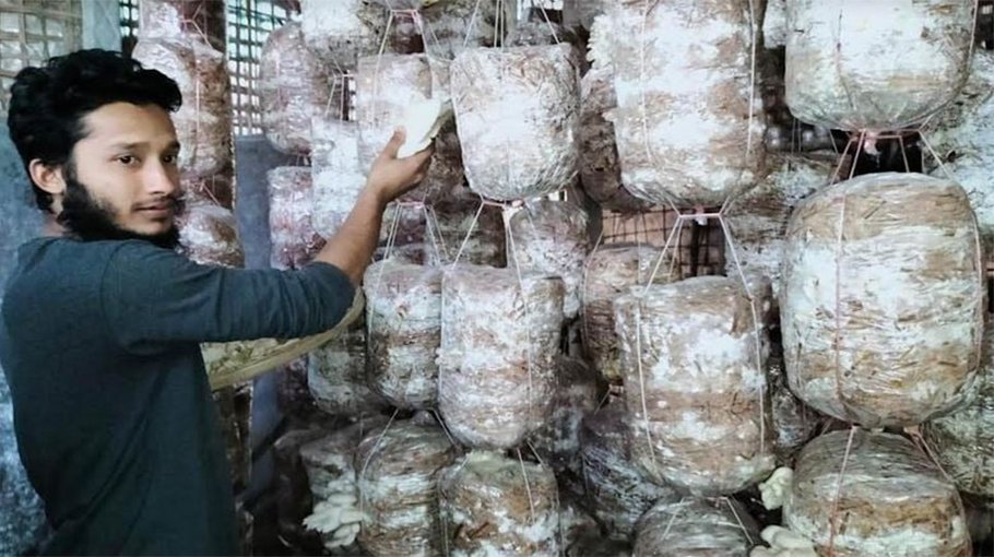 Sherpur youths becomes self-reliant by cultivating mushroom