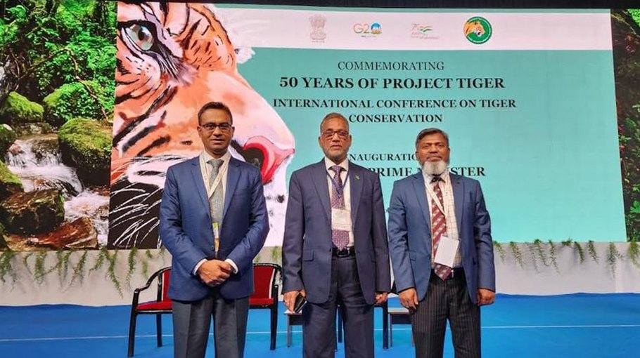 Transboundary collaboration is a must to conserve Bengal tigers: Shahab Uddin