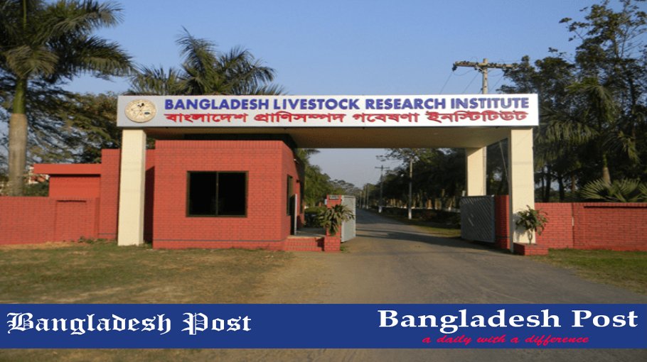 BLRI Job Circular 2023 – blri.teletalk.com.bd